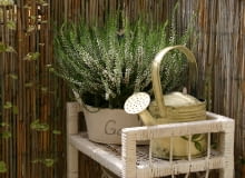 Mały balkon. Wrzosy na balkonie