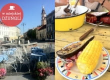 Litwa, W miejskiej dżungli, ciekawe wnętrza na Litwie