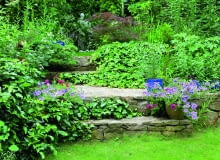 Kamienne murki wraz z posadzonymi na podwyższeniu roślinami tworzą ekran osłaniający ogród.