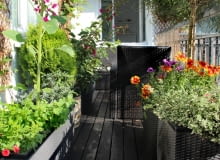 Rośliny balkonowe, czyli twój mały ogród Rośliny balkonowe, czyli twój mały ogród