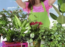 Duża ilość światła wiosną oraz nasza staranna opieka wkrótce poprawią kondycję roślin. Duża ilość światła wiosną oraz nasza staranna opieka wkrótce poprawią kondycję roślin.