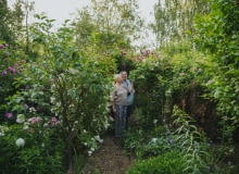 Właściciele kolekcji Małgorzata i Jerzy Kralka na tle róży galijskiej ‘Cora’ (Lecomte/Savoureaux 1828), po lewej stronie bieleje  historyczna odmiana polyanthy 'Marysa' (Dr. Gustav Brada 1936), za nią różowa historyczna róża mchowa 'Eugenie Guinoisseau' (B. Guinoisseau 1864) właściciele kolekcji Małgorzata i Jerzy Kralka na tle róży galijskiej ‘Cora’ (Lecomte/Savoureaux 1828), po lewej stronie bieleje  historyczna odmiana polyanthy 'Marysa' (Dr. Gustav Brada 1936), za nią różowa historyczna róża mchowa 'Eugenie Guinoisseau' (B. Guinoisseau 1864)