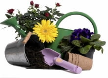 Konkurs "Zrób to sam w ogrodzie"