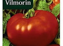 Z nasion F1 wyrastają najlepsze i najokazalsze rośliny, dlatego ich cena jest wysoka