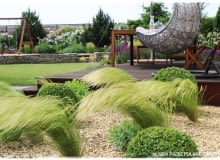 Ogród traw Ogród traw