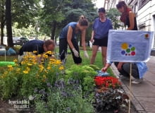 Działania pracowni Kwiatkibratki Działania pracowni Kwiatkibratki