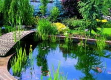 POMOST MOST MOSTEK JEZIORKO WODA STAW ZBIORNIK WODNY OCZKO WODNE BRZEG JEZIORKA CEGLA KLINKIEROWA FOT. LILIANNA SOKOLOWSKA SLAJD MALY PUBLIKACJA OGRODY NR 3 (59) - 3.2004