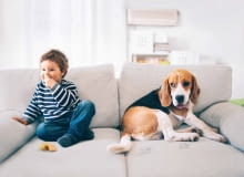 Jeśli sofa ma służyć takim aktywnym domownikom, warto wybrać jak najodporniejszą tkaninę. Jeśli sofa ma służyć takim aktywnym domownikom, warto wybrać jak najodporniejszą tkaninę.