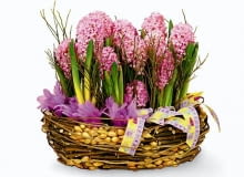 Domowa rabatka. Kwitnące hiacynty to nie tylko przyjemność dla oczu zmęczonych zimową szarością, ale także prawdziwa "bomba" zapachowa! KOMPOZYCJA FLORYSTYCZNA MINIOGRODEK