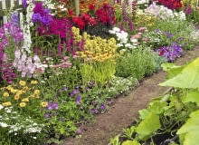 The Home Guard-ener. Designed by: Gary Hillery & Ken Walton. Large Garden. RHS Flower Show Tatton Park 2013.