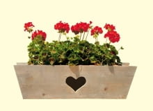 Najprostsze rozwiązanie: pelargonie w drewnianej skrzynce. Kwiaty w skrzynkach, kwiaty na parapecie