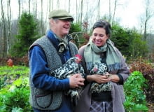 Cenimy nasze kury nie tylko za jajka. Dla ogrodnika pożyteczna jest też ich ściółka. To ogromnie wartościowy dodatek do kompostu.