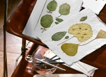 <B>Niepowtarzalne, bo własnoręcznie zrobione kartki zastąpią drukowane zaproszenia na ślub lub inną wyjątkową okazję. Nie tylko podkreślą wagę uroczystości, ale będą też miłą pamiątką dla gości.</B> <BR />MATERIAŁY: suszone rośliny, papier czerpany (arkusz 29,7 x 21 cm kosztuje od 3 do 5 zł), kawałki tiulu lub innych przezroczystych tkanin, przezroczysty klej. ZIELNIKOWE KARTKI , SUSZONE LISCIE ARANZACJA WYKONANIE ELZBIETA MATUSZEWSKA FOT. RAFAL LIPSKI PUBLIKACJA CZTERY KATY NR 7 (142) - 7.2003 SLOWA KLUCZOWE: PLASTYKA ROSLINY STOCKOWE ZDJĘCIE DO WKŁADKI: PUBLIKACJA CZTERY KATY NR 7 (142) - CZASOPISMA