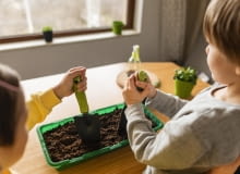 Jesienno-zimowe uprawy w domu – jak wspólne sianie warzyw może budować zdrowe nawyki u dzieci?