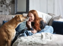 Pozbądź się nadmiaru sierści zwierząt z domu. Te akcesoria ci w tym pomogą Pozbądź się nadmiaru sierści zwierząt z domu. Te akcesoria ci w tym pomogą