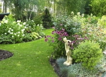 Brzozowy zagajnik na obrzeżach ogrodu jest tłem dla szerokich rabat, na których pysznią się kwitnące krzewy Brzozowy zagajnik na obrzeżach ogrodu jest tłem dla szerokich rabat, na których pysznią się kwitnące krzewy