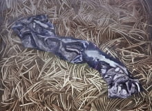 Zjawiskowy worek, 54 x 65 cm, olej na płótnie, 2013 r. Zjawiskowy worek, 54 x 65 cm, olej na płótnie, 2013 r.