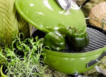 31.03.2011 , KOLOR I WZOR , TEMAT ZIOLA , STYLIZACJA JOANNA PLACHECKA . FOT. MICHAL MUTOR / AGENCJA GAZETA