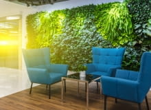 Ogród wertykalny Ogród wertykalny