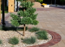 Kostka Malta kawowe inspiracje Kostka Malta kawowe inspiracje