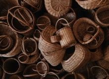 Siostry Plotą z wikilny