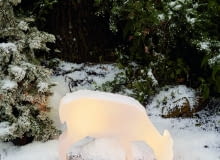 Jelonek solarny z 5 diodami LED, torzywo sztuczne, 57×55×15 cm, ok. 90 zł, Tchibo. Jelonek solarny z 5 diodami LED, torzywo sztuczne, 57×55×15 cm, ok. 90 zł, Tchibo.