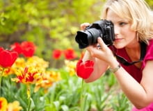 tulipany, ogród, fotografowanie