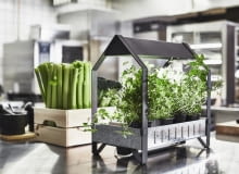 Chcesz mieć zawsze świeże zioła do gotowania? Załóż miniuprawę w swojej kuchni. Chcesz mieć zawsze świeże zioła do gotowania? Załóż miniuprawę w swojej kuchni.