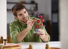 Roślinne lego Roślinne lego