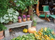 Taras zdobią rośliny w donicach (brunnery, ołowniki, zaślaz). Widzimy tu również zabytkową ławeczkę z piaskowca. Taras zdobią rośliny w donicach (brunnery, ołowniki, zaślaz). Widzimy tu również zabytkową ławeczkę z piaskowca.