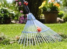 Grabie po jesiennym sprzątaniu liści trzeba oczyścić i umyć przed zimą grabienie,grabie,trawnik,pielęgnacja ogrodu,ogród