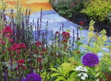 OGROD , KOLOR W OGRODZIE , KOLOROWA SCIEZKA WSPOLGRA Z KOLORAMI KWIATOW NA RABATACH FOT. LILIANNA SOKOLOWSKA PUBLIKACJA OGRODY NUMER SPECJALNY 1/2011 - 50 SPOSOBOW NA PIEKNY OGROD - 5 2011 SLOWA KLUCZOWE: OGROD RABATA NAWIERZCHNIA ROSLINA KWIAT ZDJĘCIE DO WKŁADKI: PUBLIKACJA OGRODY NUMER SPECJALNY 1/2011 - 50 SPOSOBOW NA PIEKNY OGROD - CZASOPISMA