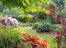 Zawsze kochałam przyrodę, ale dopiero w 'pewnym wieku' uświadomiłam sobie, jak bardzo jest dla mnie ważna. Dzisiaj nie wyobrażam sobie życia bez mojego 'Ogrodu pod lasem'. Uczę się i zdobywam ogrodniczą wiedzę, którą chętnie dzielę się na swoim blogu. Zawsze kochałam przyrodę, ale dopiero w 'pewnym wieku' uświadomiłam sobie, jak bardzo jest dla mnie ważna. Dzisiaj nie wyobrażam sobie życia bez mojego 'Ogrodu pod lasem'. Uczę się i zdobywam ogrodniczą wiedzę, którą chętnie dzielę się na swoim blogu.