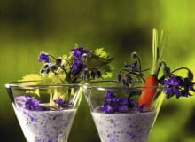 Drink z ziela ogórecznika