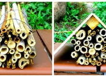 Domek dla owadów Domek dla owadów