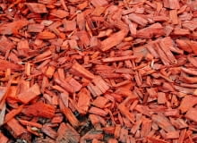 Kora ogrodowa Kora ogrodowa