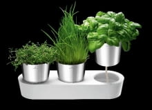 W specjalnej, długiej podstawce umieszczono trzy doniczki. Zioła podlewa się do podstawki: tu znajduje się specjalny sznurek połączony z doniczkami, w który wsiąka woda, a potem parując dociera stopniowo do korzonków roślin, 269 zł, Auerhahn Herbs, Auerhahn, czerwonamaszyna.pl W specjalnej, długiej podstawce umieszczono trzy doniczki. Zioła podlewa się do podstawki: tu znajduje się specjalny sznurek połączony z doniczkami, w który wsiąka woda, a potem parując dociera stopniowo do korzonków roślin, 269 zł, Auerhahn Herbs, Auerhahn, czerwonamaszyna.pl