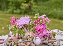 Projekt DIY: wazoniki ze skorupek jajek wypełnione pelargoniami