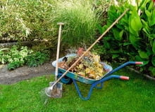 Na kompost zbieramy chwasty, ściętą trawę, obierki oraz opadłe liście.