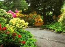 Fritz von Oheimb zaprojektował swój ogród z prawdziwie malarskim zacięciem. Na zdjęciu - cała gama odmian azalii w arboretum w Wojsławicach różaneczniki, arboretum Wojsławice