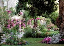 Różowe kwiaty wprowadzają nutkę romantyzmu do ogrodu Różowe kwiaty wprowadzają nutkę romantyzmu do ogrodu