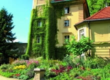 Fragment zamku w Łańcucie z wieżą porośniętą winobluszczem. U jej stóp widoczna rabata bylinowa i zegar słoneczny.