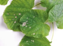 SONY DSC8BIM%WuX`z8BIM:printOutputPstSboolInteenumInteClrmprintSixteenBitboolprinterNameTEXTprintProofSetupObjcUstawienie prbyproofSetupBltnenumbuiltinProofproofCMYK8BIM;