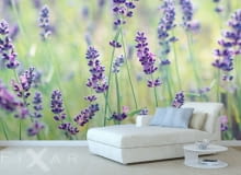 tapeta w kwiaty, fototapeta, tapetowanie