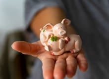 Walentynkowe tradycje Walentynkowe tradycje