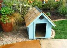 M-2 dla psa. Dzięki oknu wyciętemu pod dachem (nad wejściem) pies może podziwiać świat stojąc na czterech łapach. M-2 dla psa. Dzięki oknu wyciętemu pod dachem (nad wejściem) pies może podziwiać świat stojąc na czterech łapach.