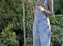 cięcie wiosnenne Salix caprea 'Pendula' / hšngende Kštzchenweide fachgerecht zurŁckschneiden SLOWA KLUCZOWE: Schere Terrasse ZZZ hoch GAP Pflege drauRen Praxis GehUlze FrŁhling Salix Frau Person Stšmmchen RŁckschnitt KŁbel Salix caprea Topf LaubgehUlze 000 Schnitt Weidenkaetzchen Palmkaetzchen Kaetzchenweide