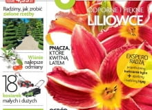 Okładka miesięcznika Magnolia 07/2013