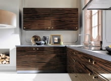 Nazwą heban określa się drewno różnych gatunków drzew z tropikalnych rejonów Azji, Ameryki Południowej oraz Afryki, należących do botanicznego rodzaju hurma. Obejmuje on kilkaset gatunków, ale szerzej znanych jest kilkanaście. Drzewa rosną szybko i są odporne na trudne warunki atmosferyczne oraz grzyby. Osiągają ponad 20 metrów wysokości; rosną dziko, choć bywają także uprawiane. Niektóre mają jadalne owoce - na przykład dostępny w Polsce sharon.<br/> Zabudowa kuchenna Savana Avenue, fornir hebanowy, Black Red White, na zamówienie Nazwą heban określa się drewno różnych gatunków drzew z tropikalnych rejonów Azji, Ameryki Południowej oraz Afryki, należących do botanicznego rodzaju hurma. Obejmuje on kilkaset gatunków, ale szerzej znanych jest kilkanaście. Drzewa rosną szybko i są odporne na trudne warunki atmosferyczne oraz grzyby. Osiągają ponad 20 metrów wysokości; rosną dziko, choć bywają także uprawiane. Niektóre mają jadalne owoce - na przykład dostępny w Polsce sharon.<br/> Zabudowa kuchenna Savana Avenue, fornir hebanowy, Black Red White, na zamówienie