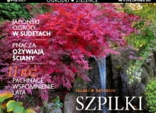 Okładka miesięcznika Ogrody 11/2011 Okładka miesięcznika Ogrody 11/2011